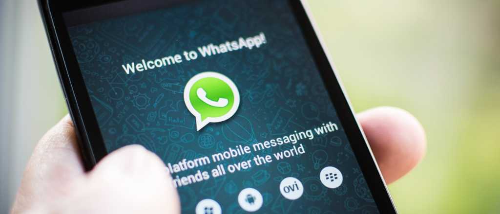  Grupos de padres de Whatsapp: lo peor que le pasó a los colegios
