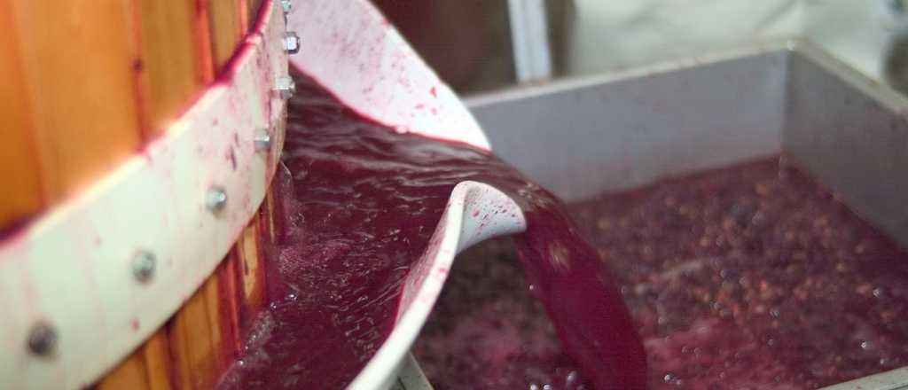 Preocupa a las cooperativas el excedente de producción de vino