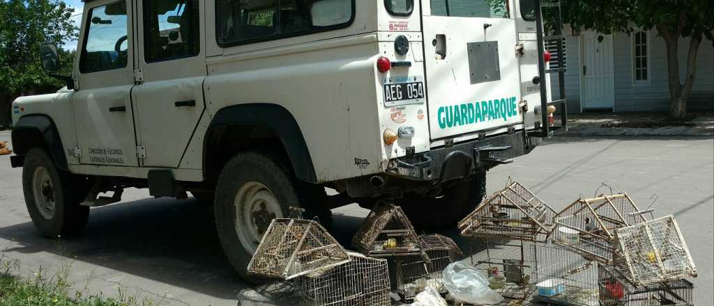 Rescataron 11 aves de tráfico ilegal en La Paz