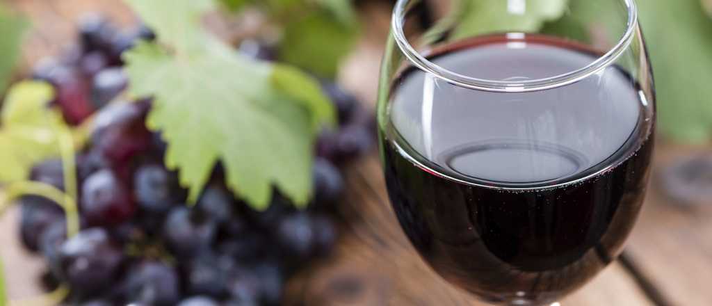Cardiólogo mendocino asegura que el vino no es una bebida nociva