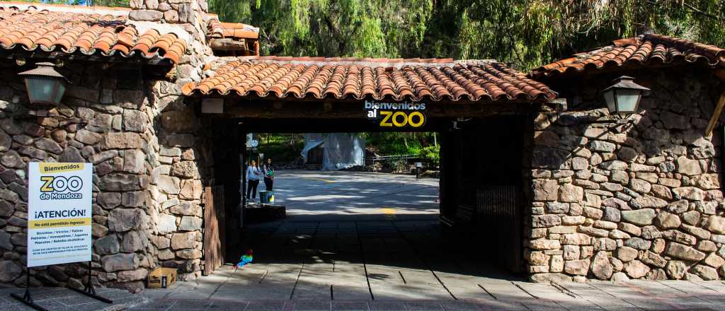 Trasladaron dos osos pardos del Zoo a un espacio más grande