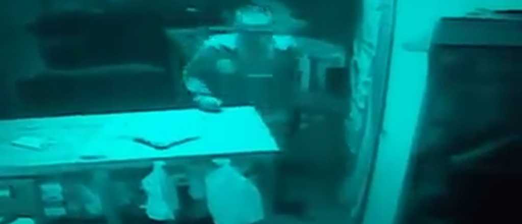 Video: así roban en un local de Guaymallén y ofrecen recompensa por el ladrón