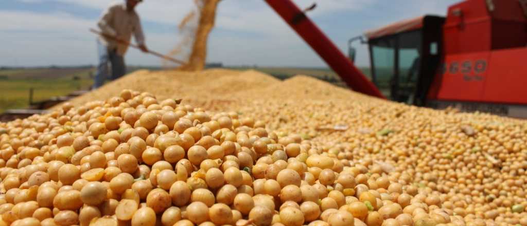Por la crisis, la UCR quiere "parar la baja de retenciones" a la soja