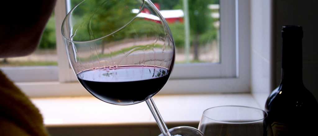 "Es un error burdo poner al vino como bebida dañina", dice ingeniero agrónomo