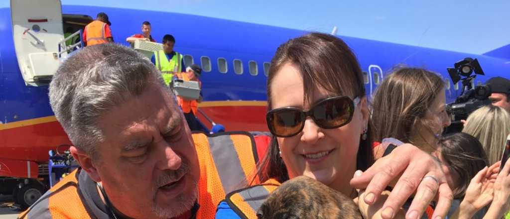 Llenaron un avión de perros y gatos para salvarlos del huracán