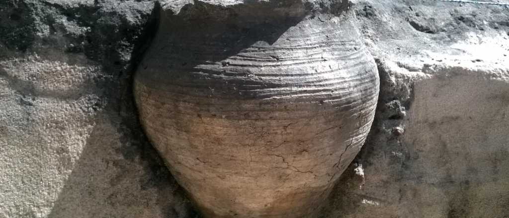 Encuentran vasija con restos del vino más antiguo de la historia