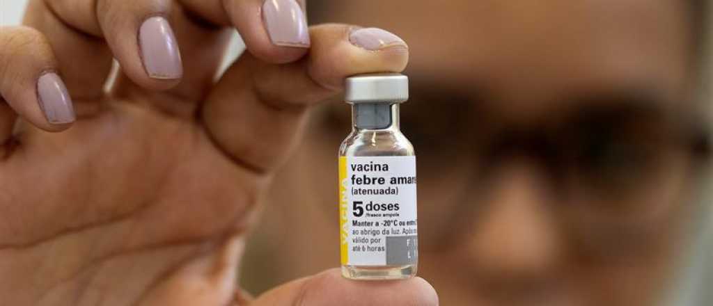 El Gobierno aclaró que en Brasil no exigen la vacuna de la fiebre amarilla