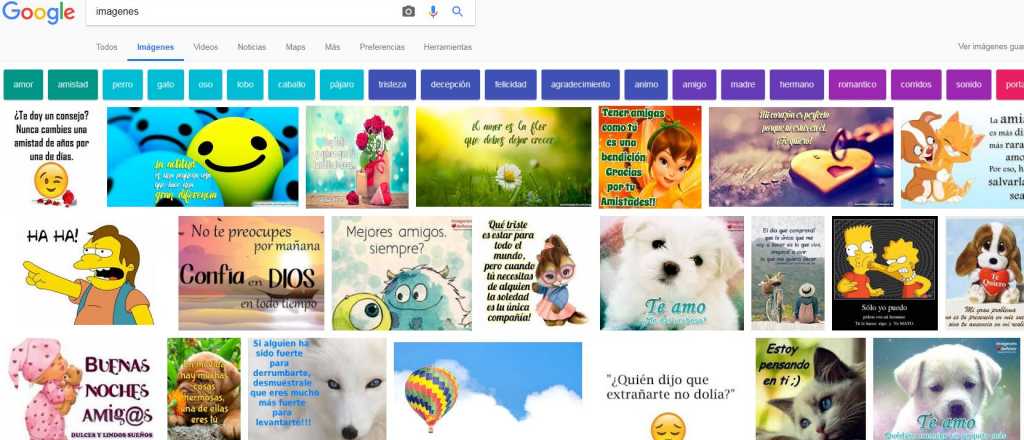 Google Imágenes no funciona más: 7 alternativas para poder esquivarla