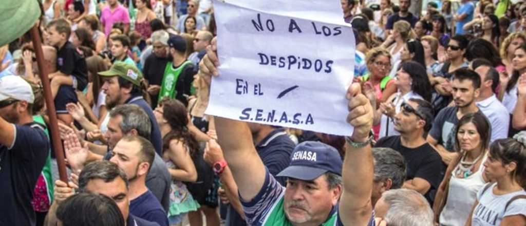 El Senasa despidió a 213 empleados, algunos de ellos en Mendoza
