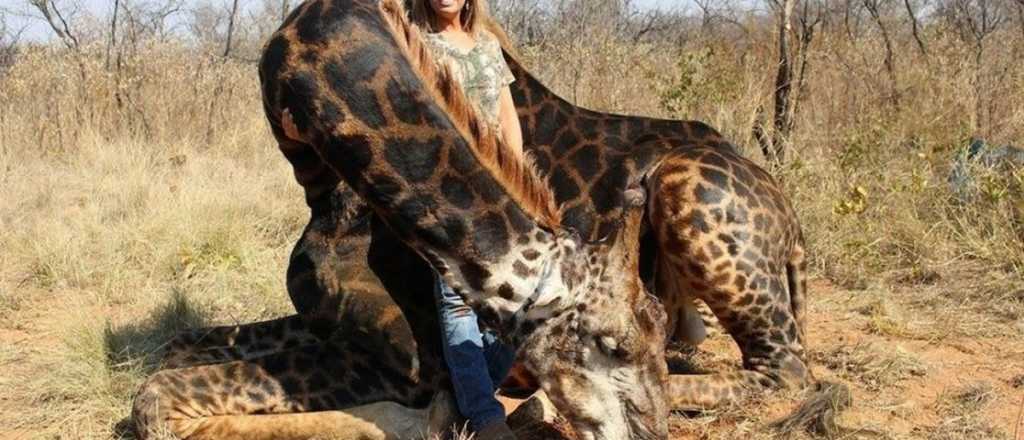 Indignación mundial por una mujer "orgullosa" de matar a una jirafa negra