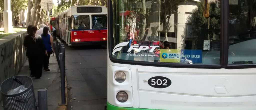 Remataron troles mendocinos "por chauchas"