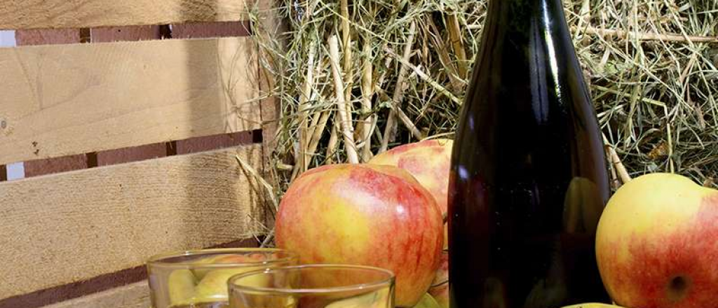 5 tragos con sidra para sorprender a tus invitados