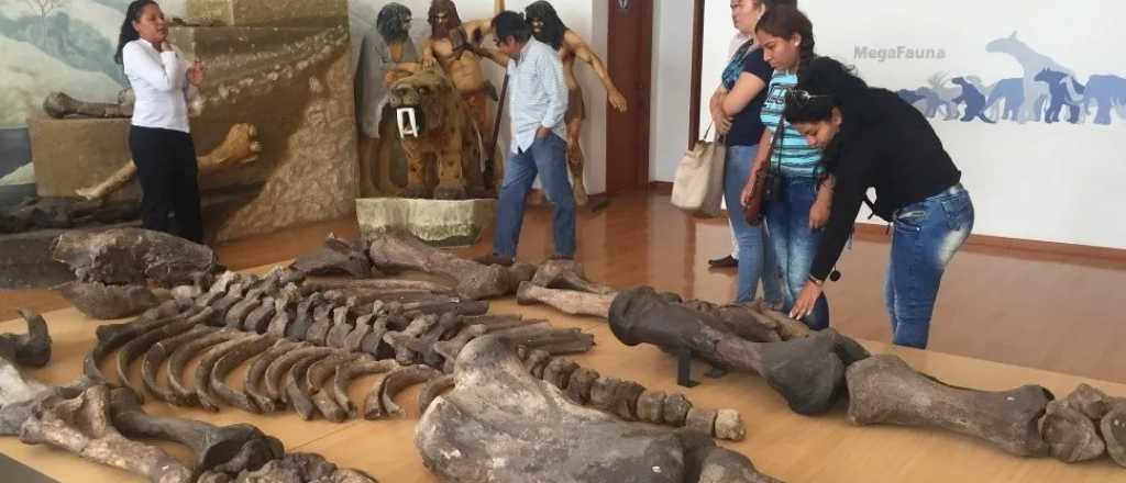 Restos hallados en Ecuador serían de gigantes de 7 metros