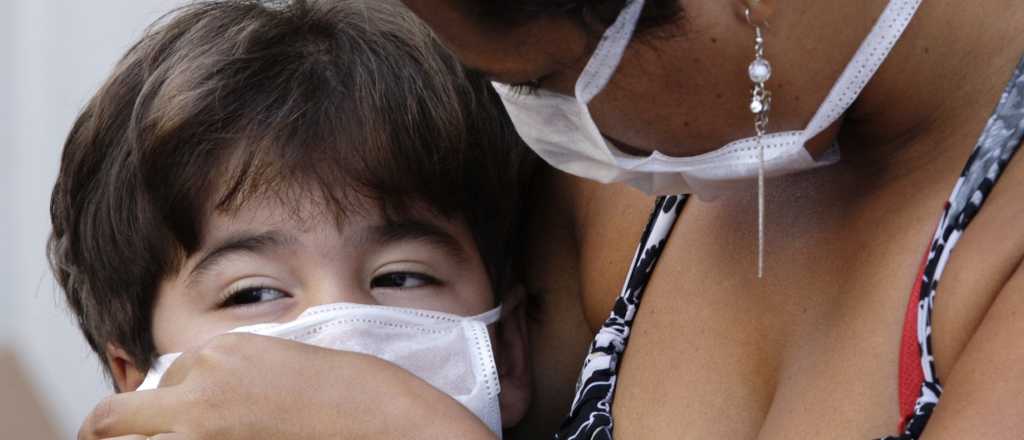 Estudian posibles casos de Gripe A en el Valle de Uco