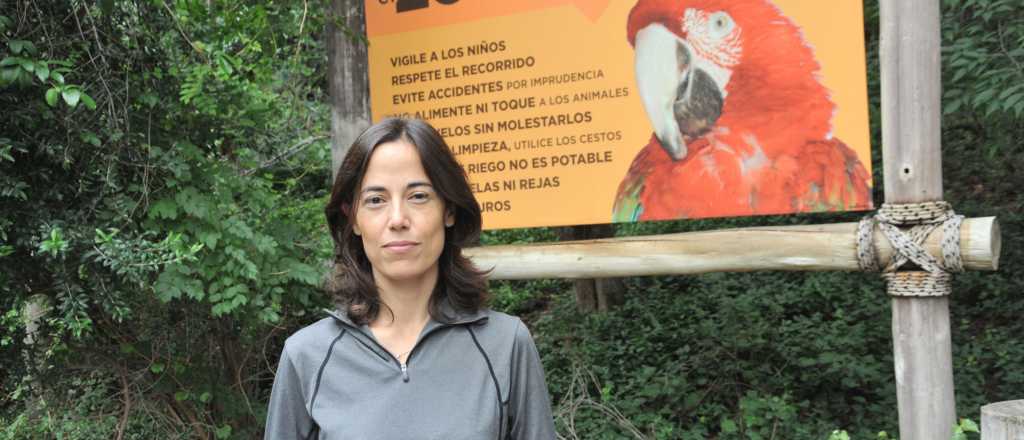 Raquel Blas al Post: "Los animales del Zoo no tienen comida"