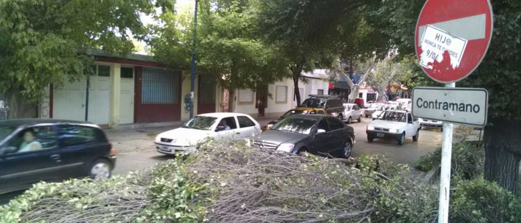 Nuevo alerta por vientos intensos con ráfagas en Mendoza