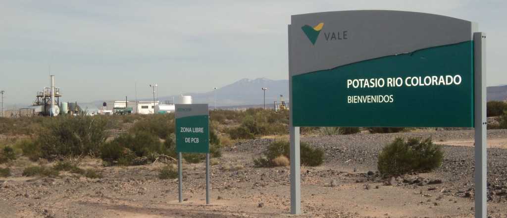 Minera Vale tiene 30 días para rediseñar el proyecto Potasio Río Colorado