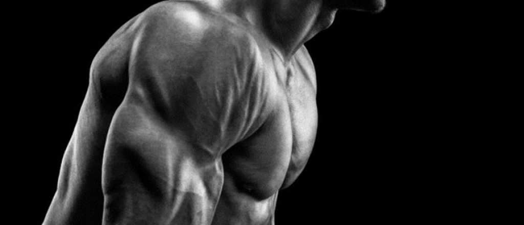 Consejo fácil para aumentar la musculatura