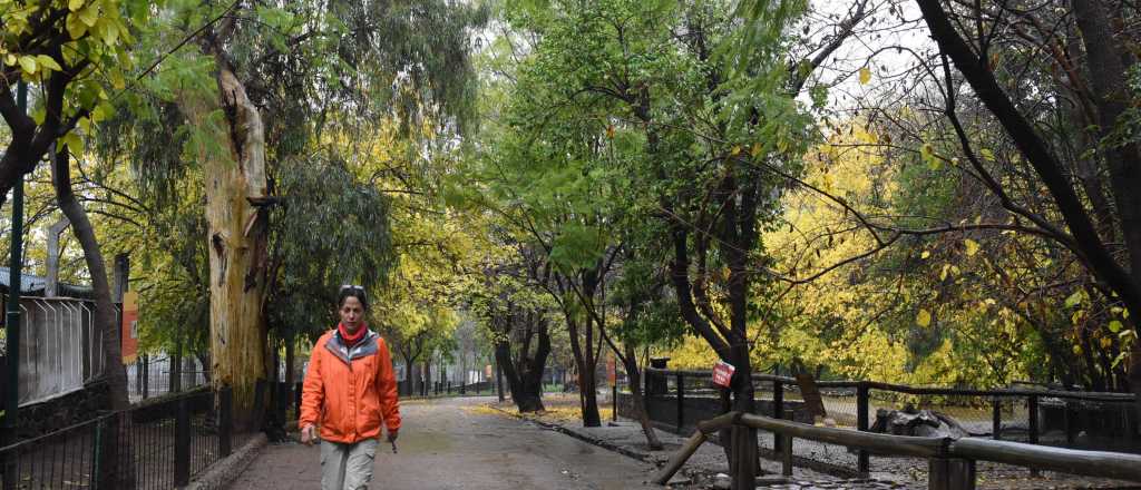 Aseguran que en el zoológico de Mendoza había un tóxico en el pasto