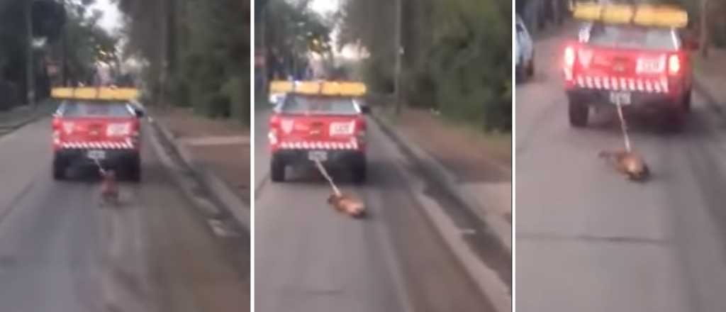 Indignante: Una camioneta municipal ató y arrastró a un perro