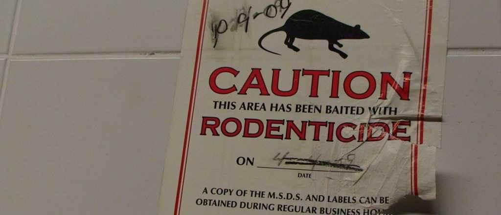 Qué le pasa a un humano que toma veneno para ratas