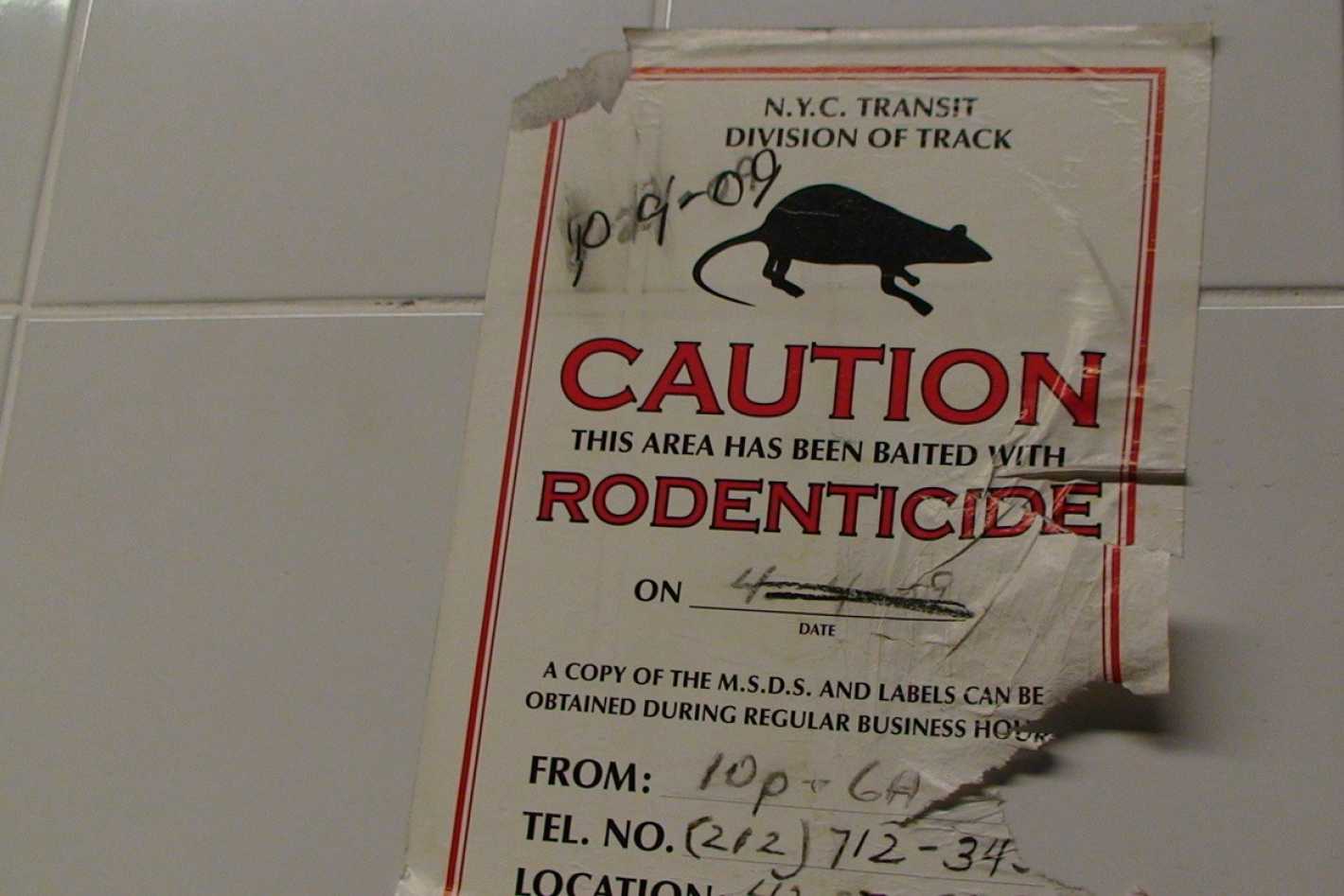 Que Le Pasa A Un Humano Que Toma Veneno Para Ratas Mendoza Post