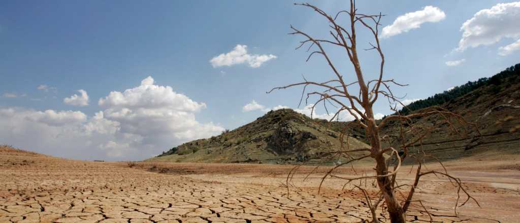 Profecía hebrea: por la sequía, Mendoza deberá bajar el consumo de agua 
