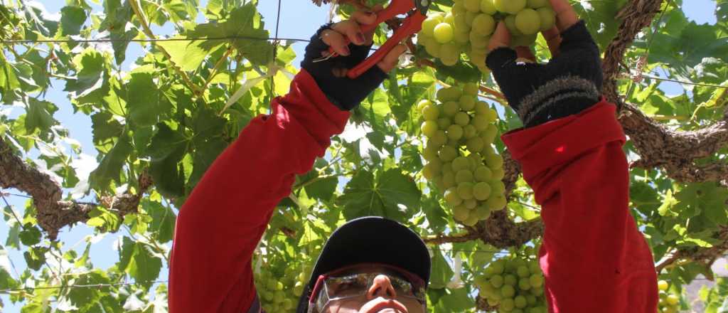 ¿Las lluvias afectarán la cosecha 2016?