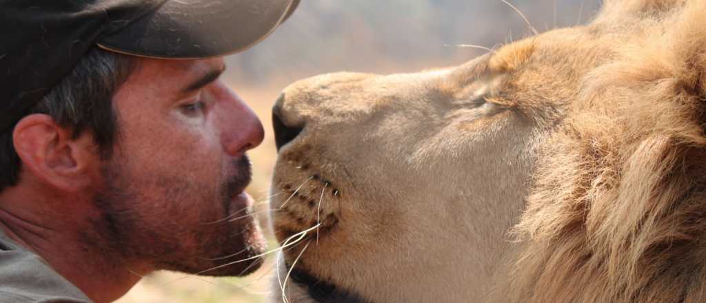¿Gatitos? la emotiva historia del encantador de leones