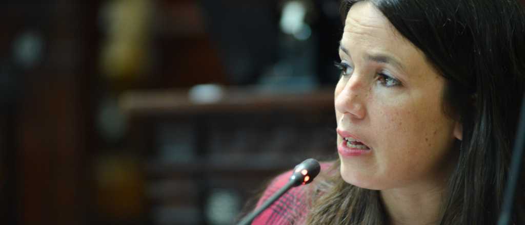 Noelia Barbeito: "Quieren legalizar el gatillo fácil"