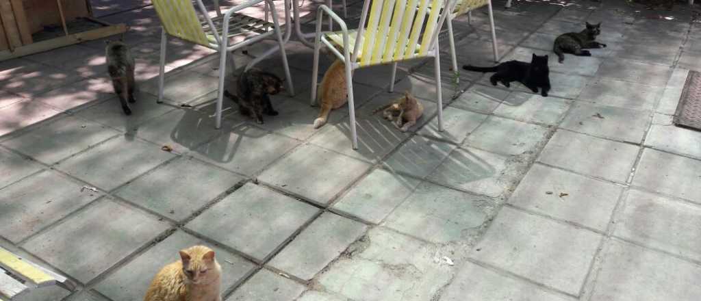 En Mendoza hay una residencia que esconde una historia de terror