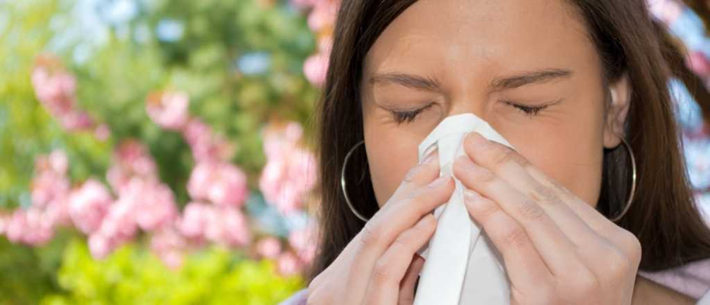 ¿Cuál es el significado de tu estornudo?