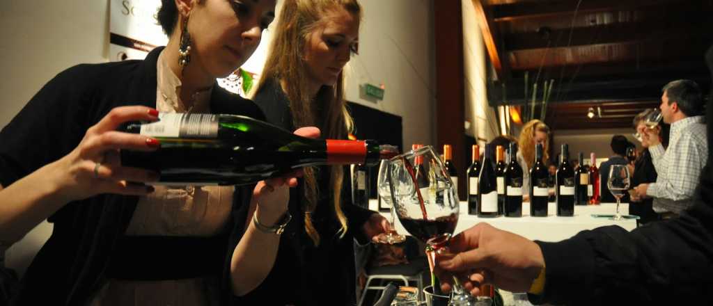 Los argumentos de Mendoza para evitar el impuesto al vino