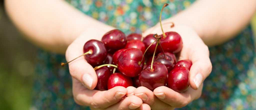 Temporada de cerezas: tres recetas fáciles con sabores de herencia