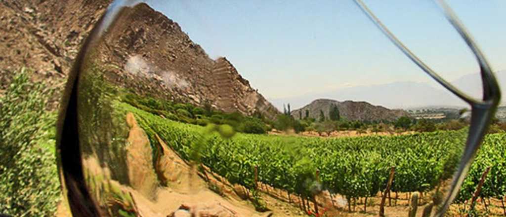 Bolivia prohibió la importación de vinos por tres meses, afectando a Argentina