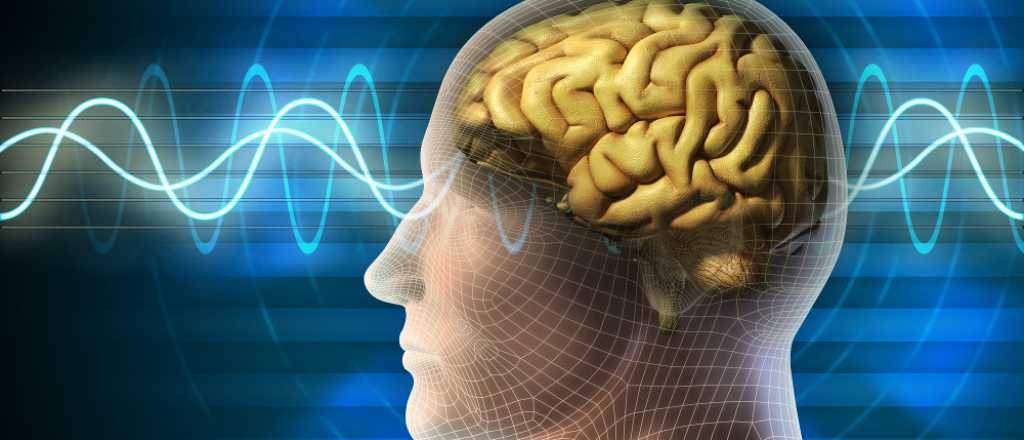 Terapia potenciaría la memoria en cuadros de demencia y Parkinson