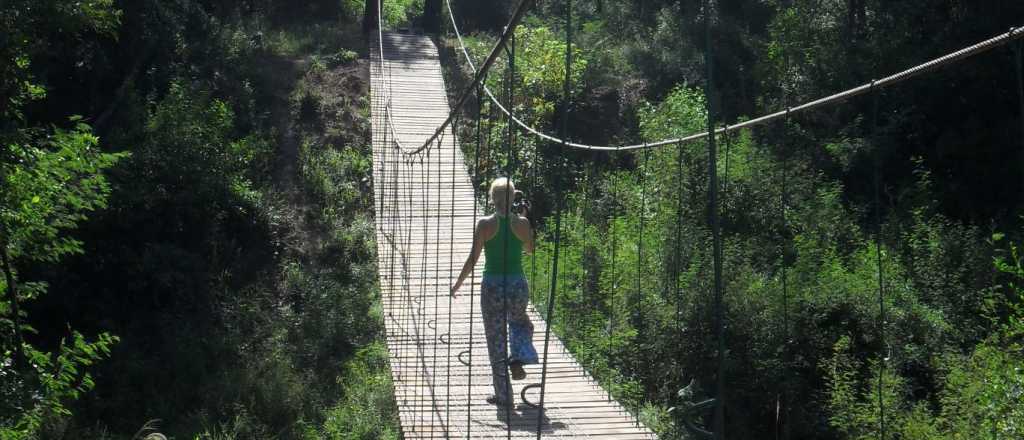 La conmovedora graduaci&oacute;n de la Primaria de un ni&ntilde;o de 11 a&ntilde;os