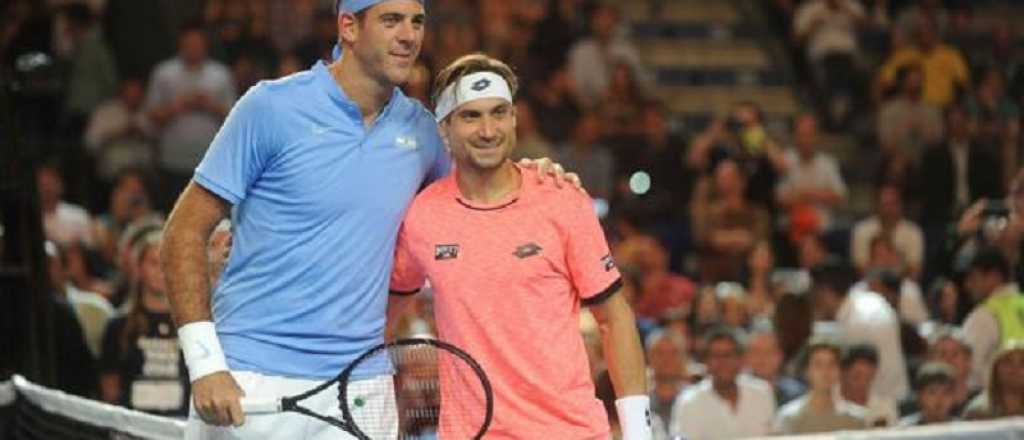 Del Potro le ganó a Ferrer y hoy juega su último partido del año