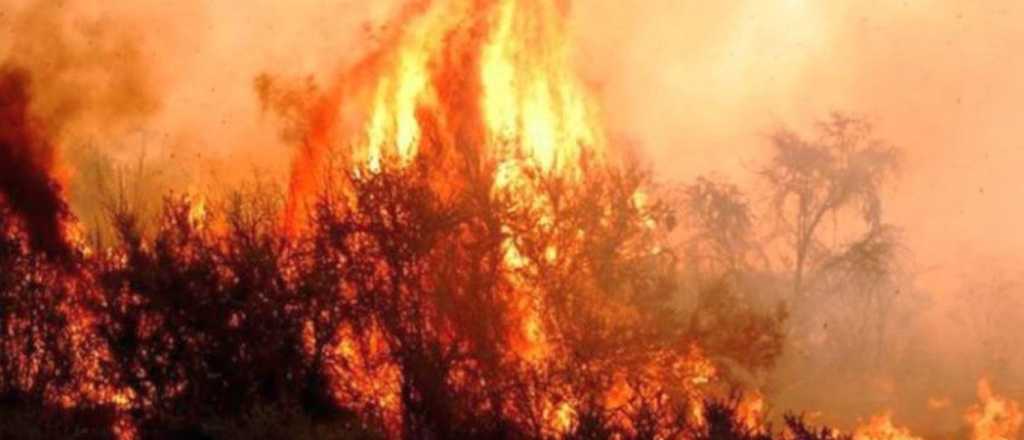 Incendio forestal en Santa Rosa