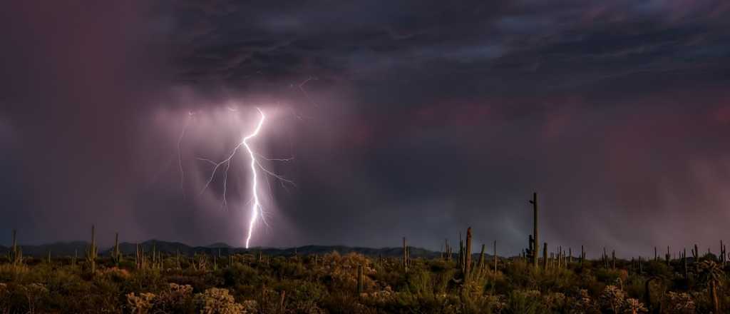 La Pampa: un rayo mat&oacute; a 22 vacas 