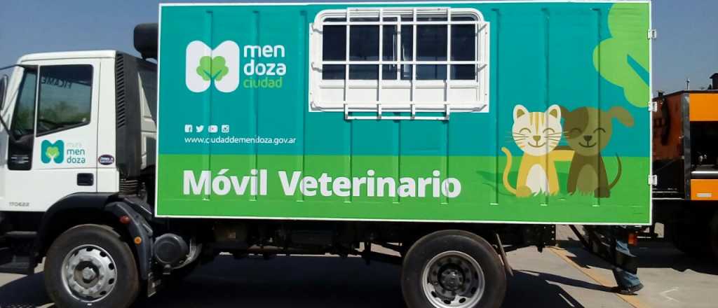 El móvil veterinario recorrerá la ciudad en febrero