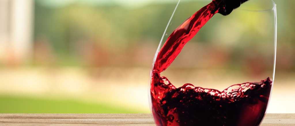 El informe mendocino que busca frenar el impuesto al vino