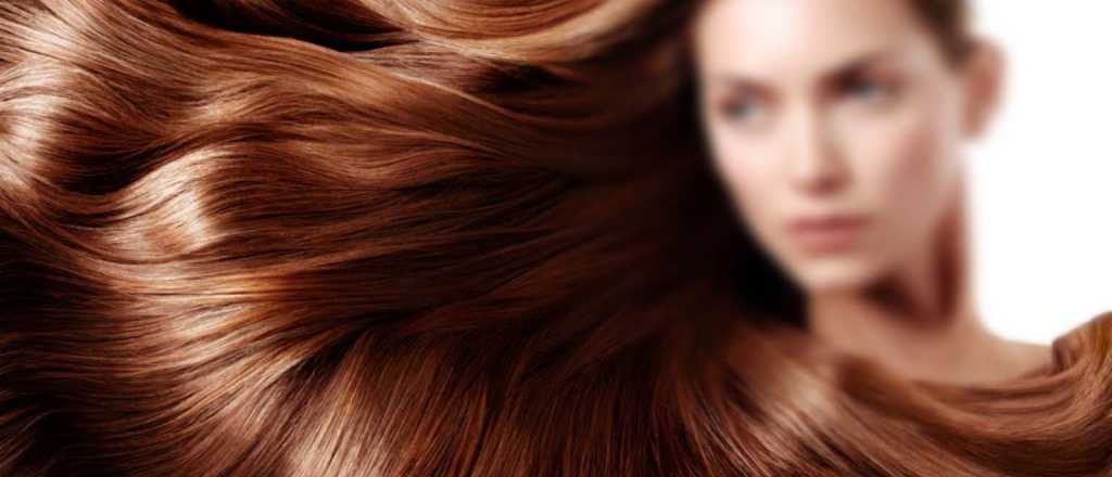 Aseguran que la cerveza tiene el mejor nutriente para el cabello