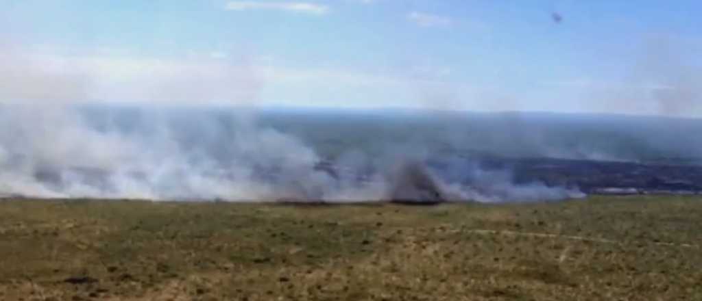 Video: incendio forestal en La Paz 