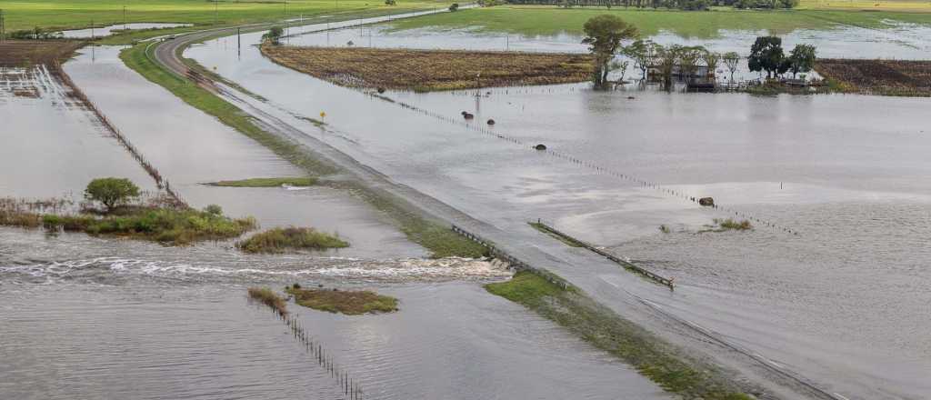 Tras las inundaciones, advierten que muchos productores no podrán recuperarse