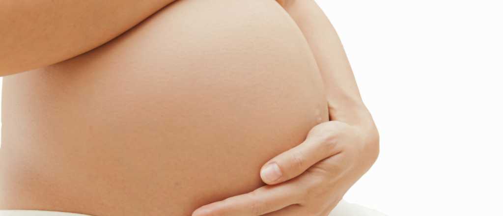 La madre que alquiló su vientre se defiende: "Acá no hay venta de bebés"