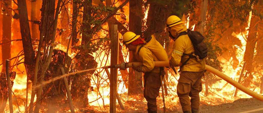 Chile: 7 muertos y más de 235 mil hectáreas afectadas por el fuego