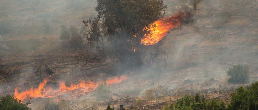 En Chile investigan si los incendios son intencionales 