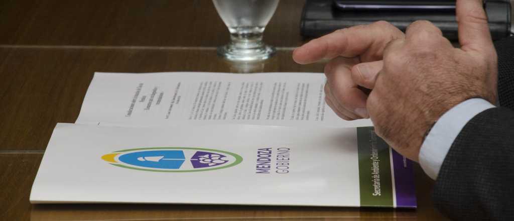 Nuevo plan de Cuidado Ambiental para reducir la tala de &aacute;rboles