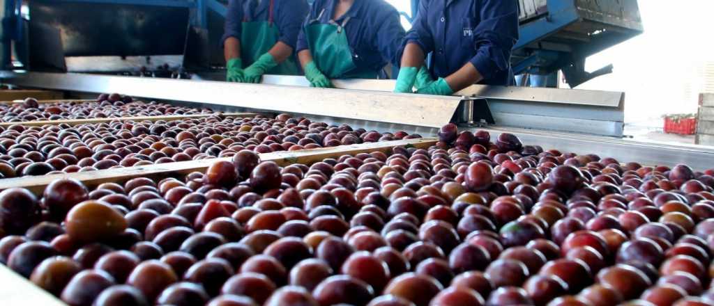 Argentina podr&aacute; exportar vino y otros productos a EEUU sin aranceles